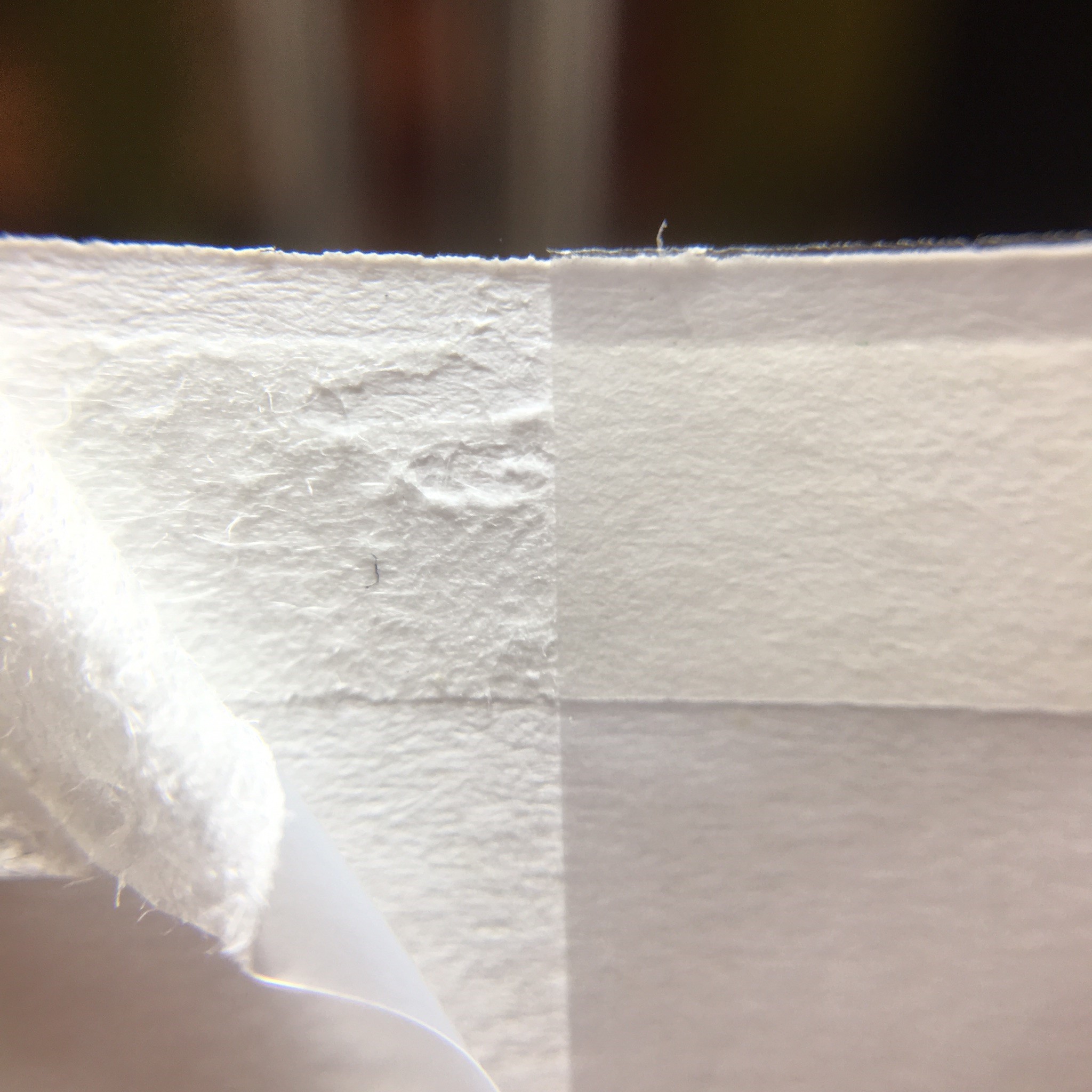 Polylined inner